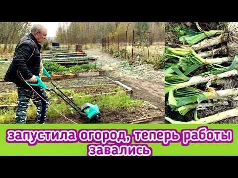 Видео: Зря я так долго не ходила на огород, выкопала порей, муж пашет культиватором, мой супчик из тыквы