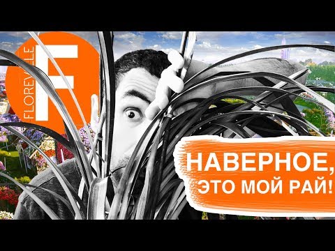 Видео: Обзор оптового центра цветов ФЛОРЭВИЛЬ! МОРЕ РАСТЕНИЙ И ОРХИДЕЙ!!!
