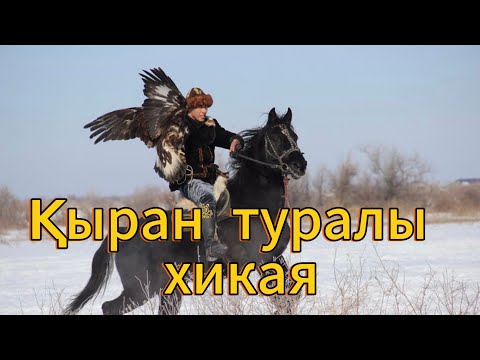 Видео: Қыран туралы хикая.Қыранның өлімі Авторы:Төлеубек Жақыпбайұлы