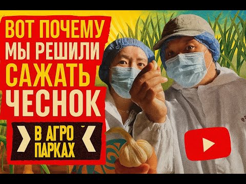 Видео: Вот почему мы решили сажать чеснок в агропарках