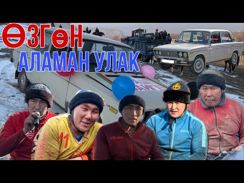 Видео: Өзгөн /Мырза-арык /Аламан улак 29.12.2022