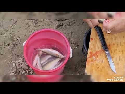 Видео: Долгожданная рыбалка.. 16  сентября 2025 г.