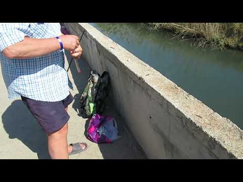 Видео: Бесплатная рыбалка в Сиде (Турция, 2021)