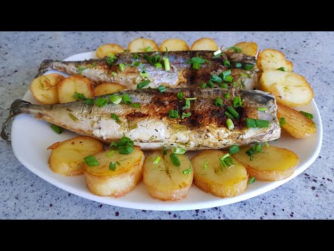 Видео: СКУМБРИЯ на Углях. Выпуск №669