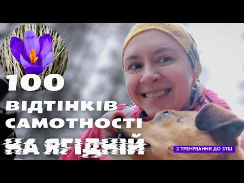 Видео: 13 СОЛО | 1,5 найперші КРОКУСИ, НЕГОДА І ПЕС-ВОЛОЦЮГА | 2 тренування до ЗТШ | Рання весна в Карпатах