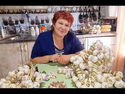 Видео: #ЯРОВОЙ #ЧЕСНОК🧄🧄🧄 ВЫРОС НА #СЛАВУ!!! #ПЛЕТЁМ И #ГОТОВИМ НА #ХРАНЕНИЕ👌👌