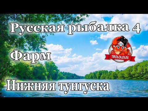 Видео: Русская рыбалка 4 Ультралайт на Нижней тунгуске Трофей Фарм