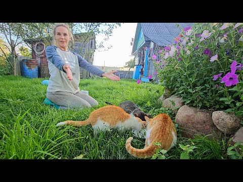 Видео: Что с этим делать? Жизнь в деревне заиграла другими красками...