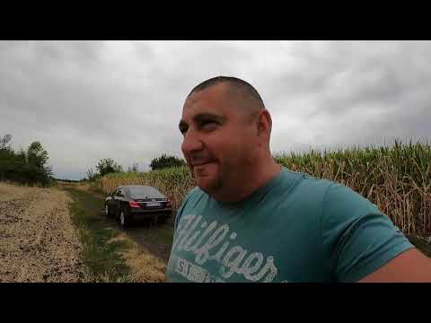 Видео: Нарешті це сталося ми це зробили КІРОВЕЦЬ К 701 вийшов в поле