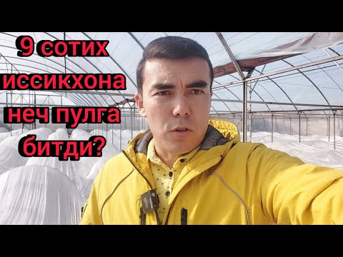 Видео: 9 сотихли иссикхона неч пулга битди?