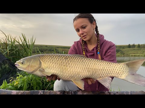 Видео: Осіння риболовля на коропа і амура. Угри третє озеро | Львівська область.