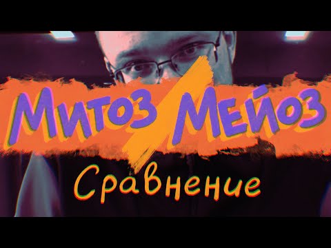 Видео: Митоз / Мейоз | Сравнение 🧬 Сходства и различия