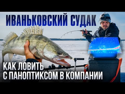Видео: Паноптикс не ПАНАЦЕЯ. Весенний судак на Иваньковском водохранилище.