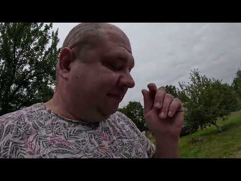 Видео: Абхазская чача Ачара и курица в тандыре