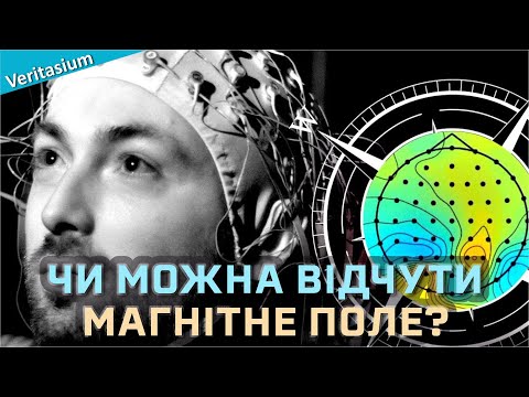 Видео: Чи здатна людина відчувати магнітне поле [Veritasium]