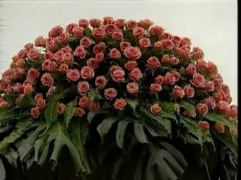 Видео: Праздничный концерт «Гимн женщине»