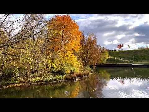 Видео: Минск. РЕКА СВИСЛОЧЬ в приграничье трех ПРЕДМЕСТИЙ: КОШАРЫ, ЛЯХОВКА , АРХИЕРЕЙСКОЕ