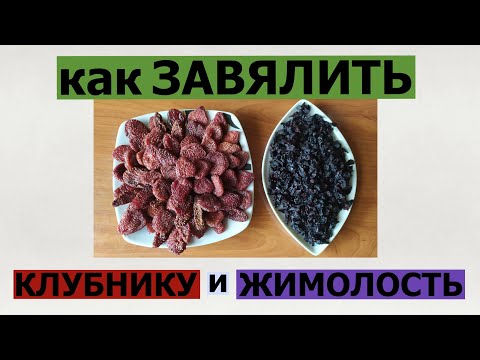 Видео: ВЯЛЕНЫЕ ЯГОДЫ И ЯГОДНЫЙ СИРОП ...