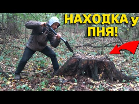 Видео: Жирная НАХОДКА возле СТАРОГО ПНЯ Порадовала не по ДЕТСКИ, Давно Здесь ЛЕЖАЛА и никто ее Не ВИДЕЛ!!!