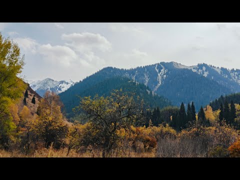 Видео: Китай-тропа. 12.10.2025