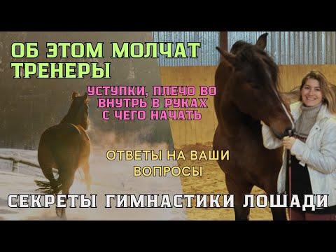 Видео: СЕКРЕТЫ ГИМНАСТИКИ лошади В РУКАХ. Уступки, плечо во внутрь, С ЧЕГО НАЧАТЬ