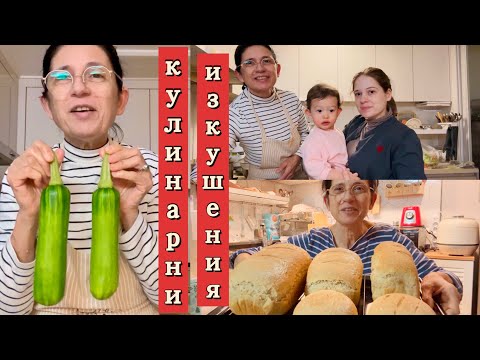 Видео: Хляб като топка 🔮Секрета на корейските тиквички🥒 Няколко кулинарни изкушения 😉