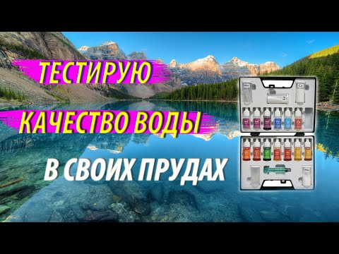 Видео: Проверяю качество воды в прудах капельными тестами нилпа.