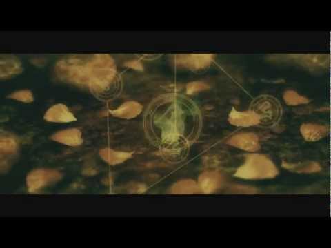 Видео: Molecul & ROSA - Нет