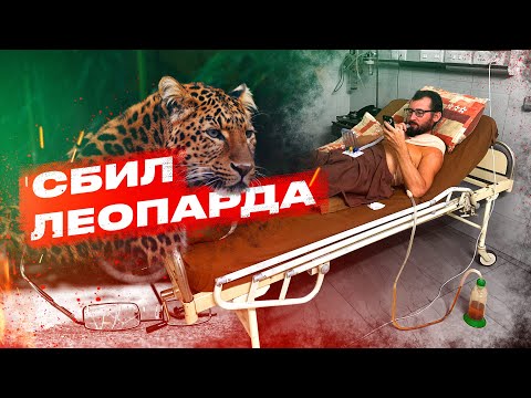 Видео: ЧТО ДЕЛАТЬ ПОСЛЕ ДТП В ГОА? СБИЛ ЛЕОПАРДА И ВЫЖИЛ! АВАРИЯ В ИНДИИ 2024.