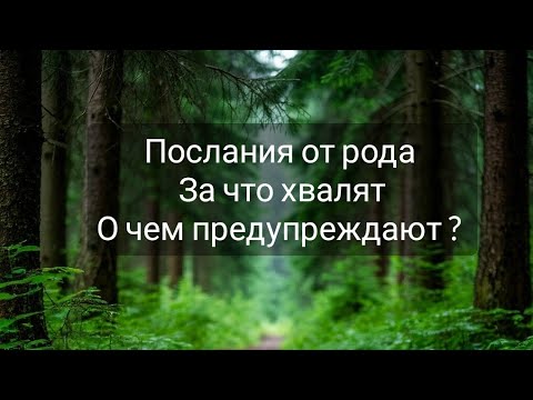 Видео: Послание от рода 🌹