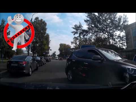 Видео: Быдло на встречке, шапито шоу 2018