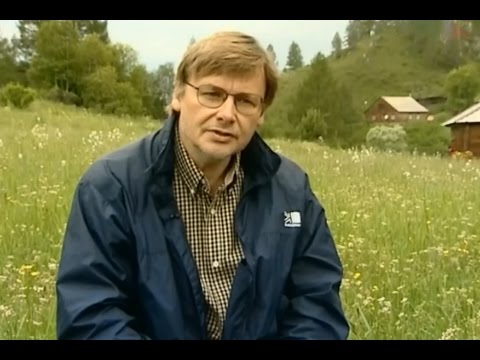 Видео: Татьяна Черниговская - Игры разума (Продолжение цикла Встреча на вершине)