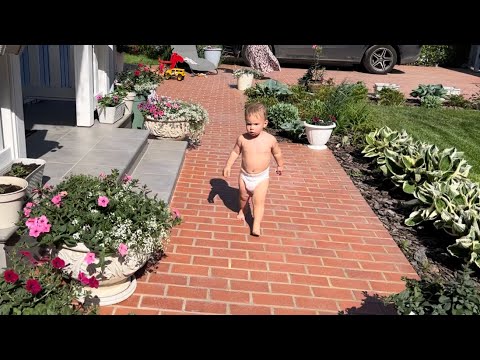 Видео: Влог 46 ! Первый день лета ! Монте на даче ! Самый лучший день !