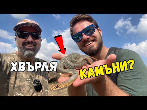 Видео: Най-дефанзивният вид змия в България - митове и реалност | Уикенд на язовир Тракиец