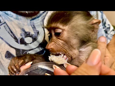 Видео: Мама кормит маленькую Тосю первой в ее жизни вкусной кашей, малышка худенькая, нужно откормить.