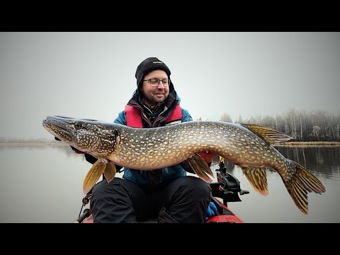 Видео: ЛОВЛЯ КРУПНОЙ ЩУКИ перед ЛЕДОСТАВОМ / НА ПЕРВЫЙ ЛЁД ТОЧНО СЮДА! РЫБАЛКА на СПИННИНГ