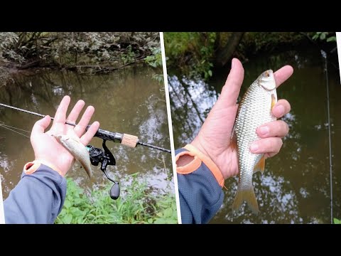 Видео: Битца стаил, по кустам с мормышкой