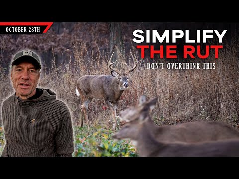 Видео: Как упростить гон — не стоит слишком увлекаться этим | Охота с луком на белохвостых оленей с Билл...