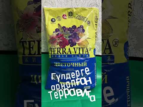 Видео: Бөлме гүлін жайнатып өсірудің бір сыры — топырағы мен тыңайтқышына байланысты.