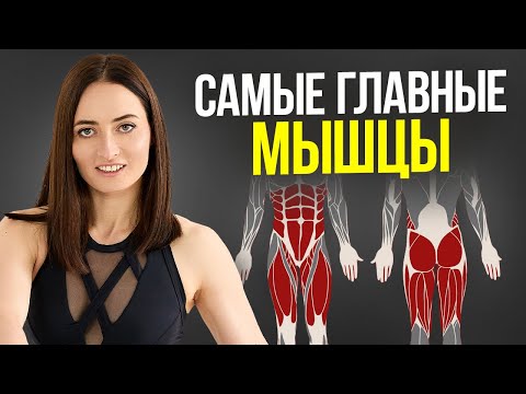 Видео: 3 мышцы, слабость которых НЕЛЬЗЯ допускать! ВАЖНО посмотреть каждому
