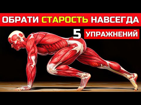 Видео: 6 МОЩНЫХ АНТИВОЗРАСТНЫХ УПРАЖНЕНИЙ, КОТОРЫЕ ПРЕОБРАЗЯТ ТВОЁ ТЕЛО ПОСЛЕ 50 🔥