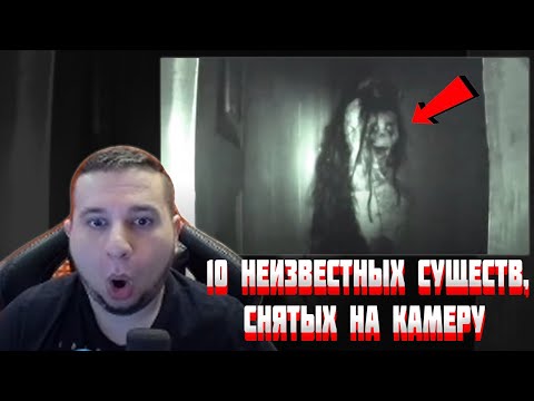 Видео: Манурин смотрит: 10 НЕИЗВЕСТНЫХ СУЩЕСТВ, СНЯТЫХ ВПЕРВЫЕ НА КАМЕРУ
