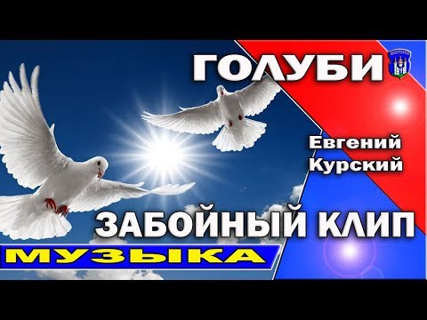 Видео: Новинка клипа 2018 /Голуби- Евгений Курский/Смотреть всем! Позитивная песня!! Танцуют ВСЕ!!!