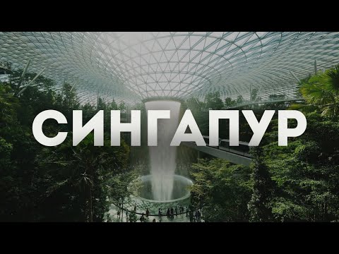 Видео: Сингапур: идеальное место для отпуска