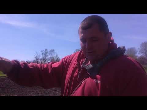 Видео: прополка и окучивание картофеля насадкой на бензо косу