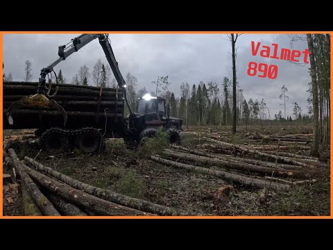 Видео: Форвардер Valmet 890/Forvarder #лесозаготовка