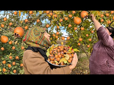 Видео: СБОР МУШМУЛЫ И ПРИГОТОВИТЬ СОЛЕНЬЕ ИЗ МУШМУЛЫ И РЕЦЕПТ КУРИЦЫ.