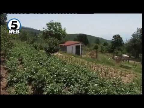 Видео: Зевзекманија 28.06.14 Zevzekmanija