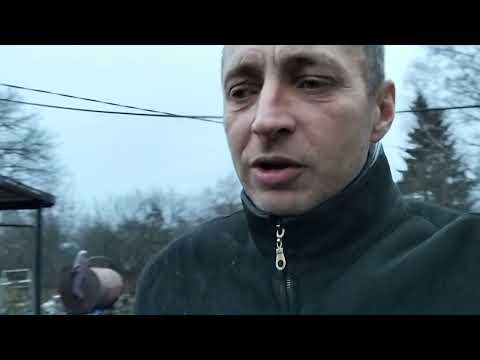 Видео: Здравствуй новый день 251107