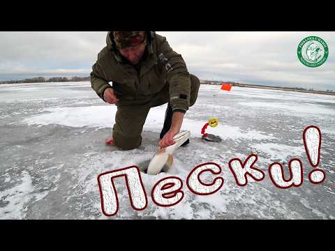 Видео: РЫБАЛКА НА ПЕСКАХ! ВЕТЕР ВАЛИТ С НОГ, СРАБОТКА РЯДОМ С ПАЛАТКОЙ, ПРО БАГОР ВСПОМИНАЕШЬ НА ЛЬДУ, УРАЛ